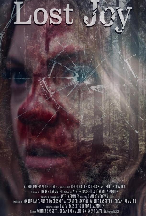 Lost Joy