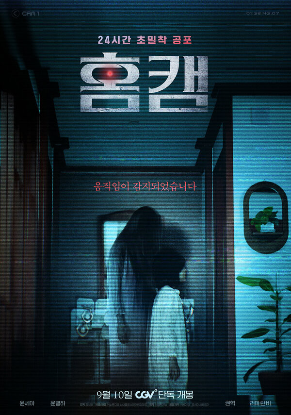 Домашняя камера